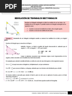 C5 Guia 11 Solución de Triangulos - Matematicas