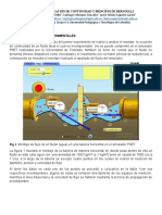 Informe 7 Bernoulli