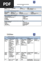 Formato Paci 2021 - Parvulo