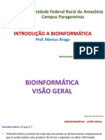 Slide 03 - Introdução A Bioinformática - Bioinformática - Visão Geral - Pt. 01