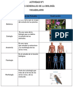 Vocabulario