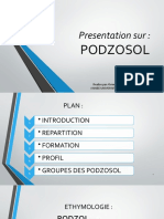 PODZOSOL