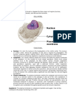 Question 1: Identify On A Cell Model or Diagram The Three Major Cell Regions (Nucleus