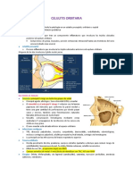 Celulitis Orbitaria