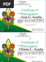 Certificate of Participation: Aisa G. Acuña