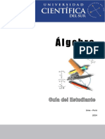 Guía Teórico - Práctica de Algebra 2015-I