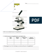 Microscope Basicswkst