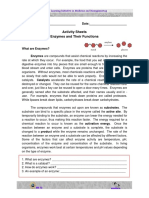 Enzymes and Their Functions - Activity Sheets