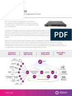 Neptune NPT-1100: Multi-Service Access and Pre-Aggregation Router