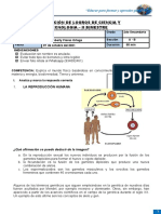 Examen de Logro 3º - III Bimestre