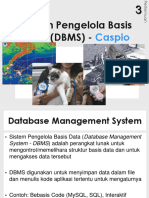 DBMS - Caspio