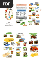 Leaflet Diet Pada Ibu Hamil