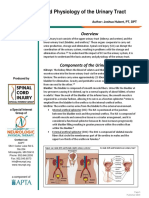 Sci Sig Fact Sheet Urinary Tract Anatomy Physiology