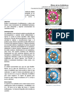 Efecto de Los Antibióticos