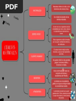 Ciencias Naturales - Organizador Grafico