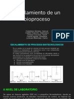 Escalamiento de Un Bioproceso