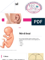 Colocación Fetal