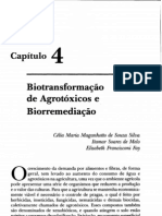 Biotransformação de Agrotóxicos e Biorremediação (Silva, Melo e Say)