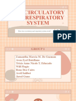 Circulatory and Respiratory System