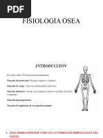 Fisiologia Osea Exp?