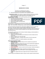 BMED 66 Chapter 17 REspiratory System