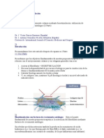 Factores de Crecimiento Cara