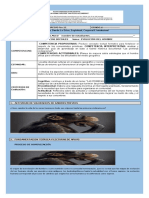 Proceso - de - Hominizacion - y - Cuadernillo (6) REALIZADA