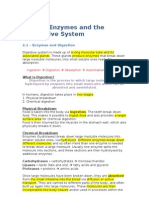 Unit 2 - Enzymes and The Digestive System