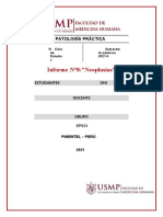 Grupo 23 - Informe N°8 - Patología Práctica