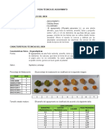 Ficha Tecnica Aguaymanto