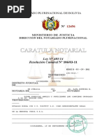 Caratula Notarial