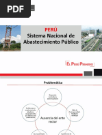 Sistema Nacional de Abastecimiento PDF