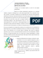 Cuestionario 6 Hidrolisis Enzimatica de Los Lipidos