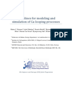 Eera Ca Looping Simulation Guidelines