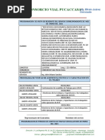 Programacion de Visita de Residente de Obra y Conteo