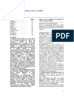 Revision - Displacia Del Desarrollo de La Cadera