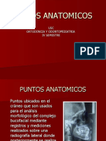 Puntos Anatómicos