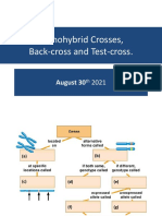 Genetics 2nd Weeks, Monohybrid Crosses