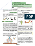 Guía Biología Séptimo