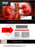 Enfermedad Vrenal Cronica - Pptfilename UTF-8enfermedad Vrenal Cronica