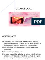 Mucosa Bucal-1