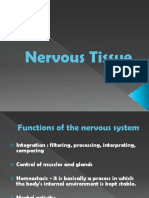 Zoology Lecture 8 - Nervous Tissue