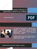 Teletrabajo y Trabajo Remoto en Seguridad y Salud en El Trabajo