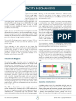 Capacity Mechanisms: Situation in Belgium