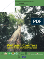 Vietnam Conifers Conservation Status Review 2004