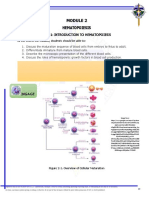 m02 Hematopoiesis 1 2