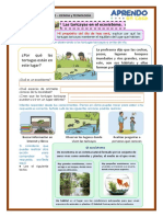 Ficha de Trabajo 19-10-2021