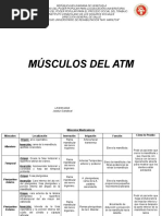 Músculos Del Atm