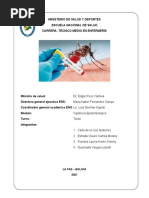 Informe Dengue