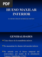 Hueso Maxilar Inferior